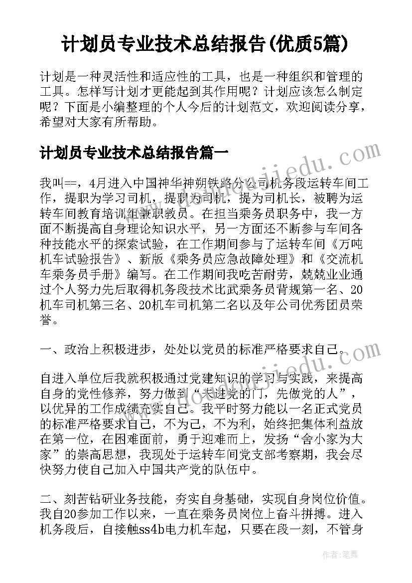 计划员专业技术总结报告(优质5篇)