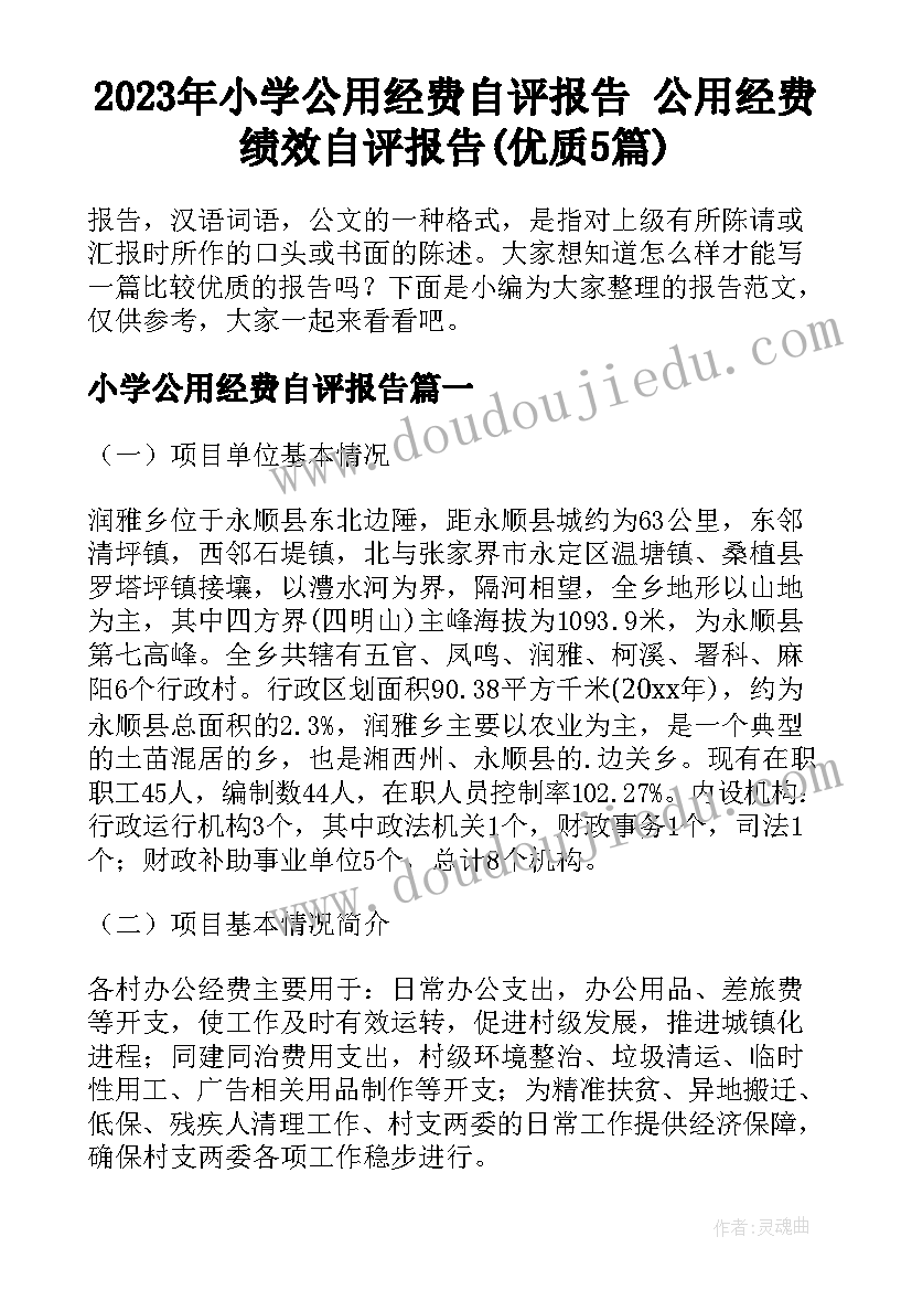 2023年小学公用经费自评报告 公用经费绩效自评报告(优质5篇)