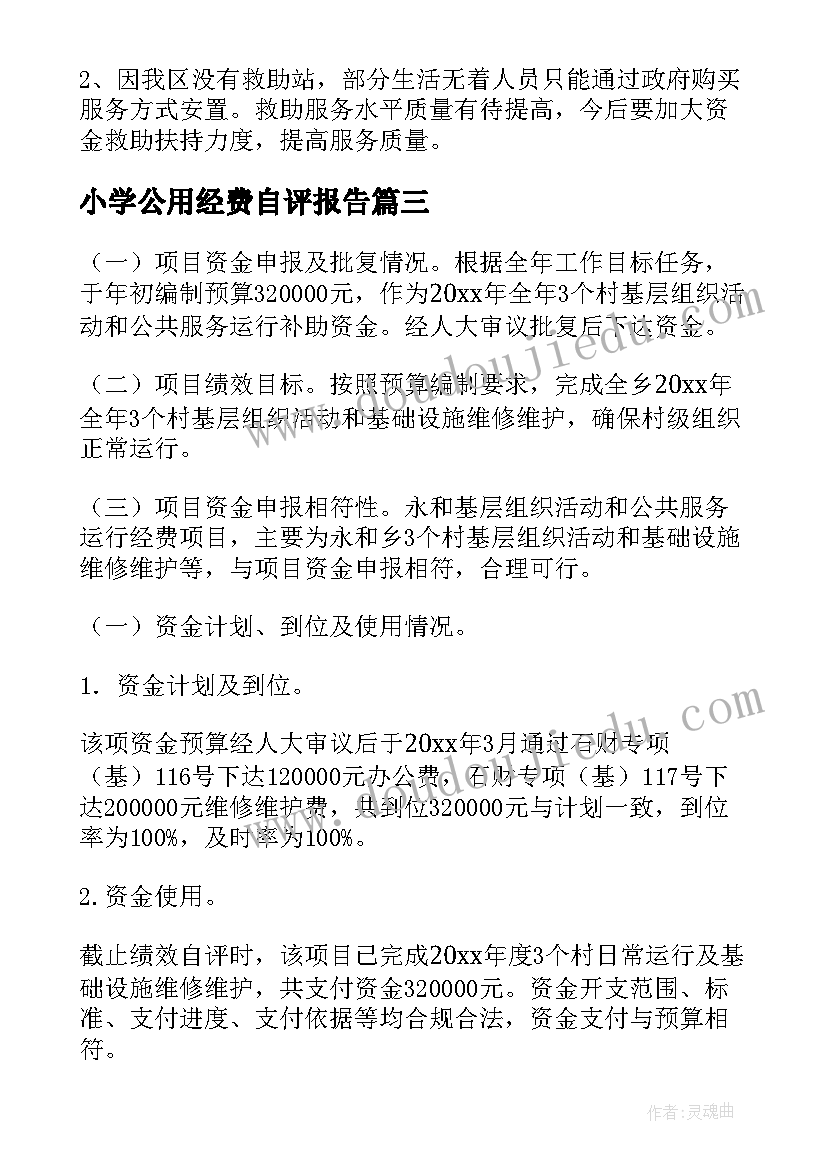 2023年小学公用经费自评报告 公用经费绩效自评报告(优质5篇)