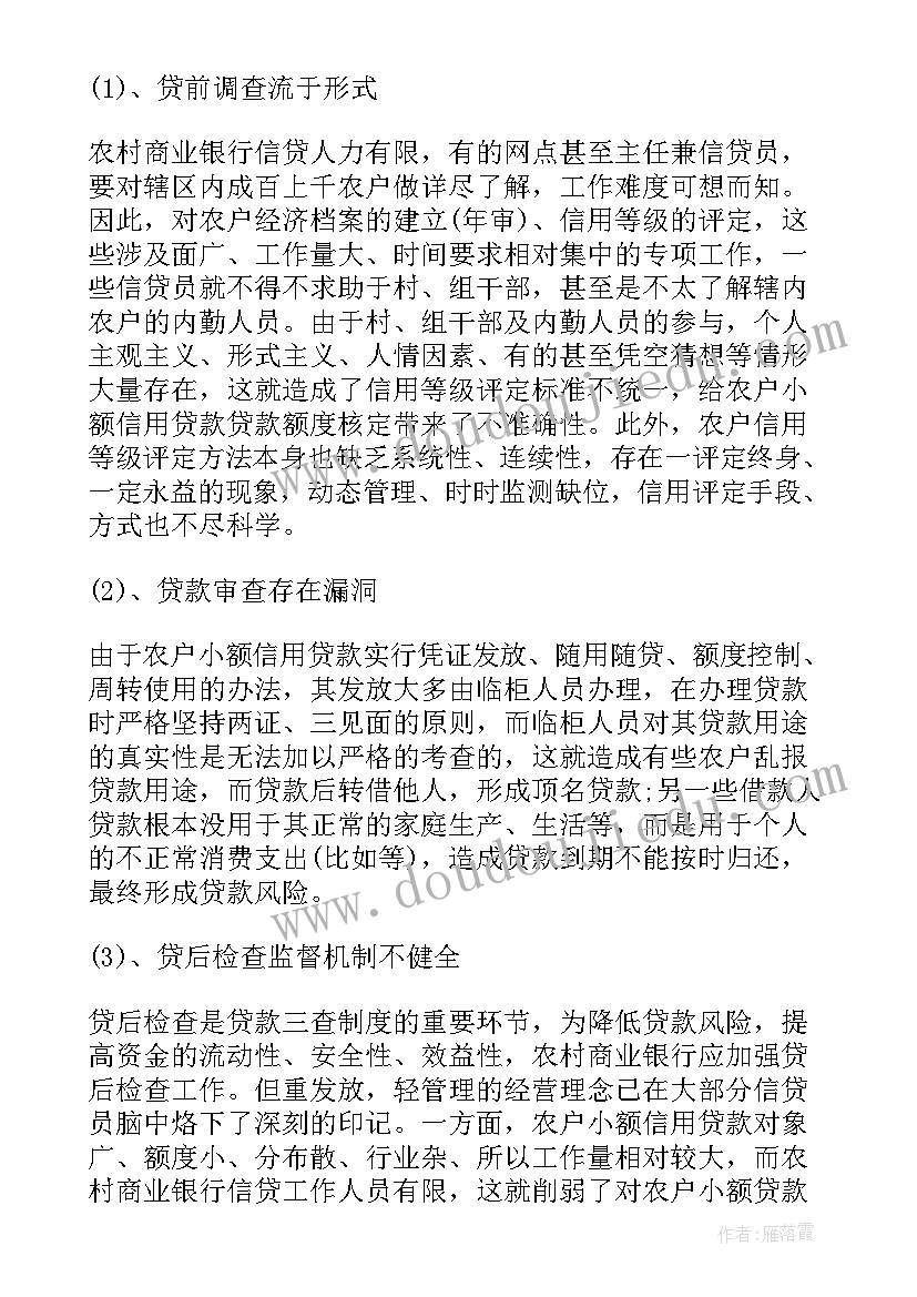 2023年小额贷款调查报告(精选5篇)