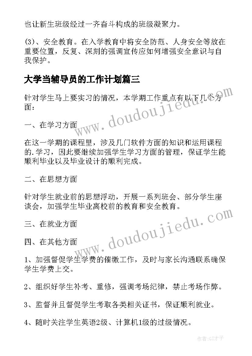 大学当辅导员的工作计划(大全10篇)