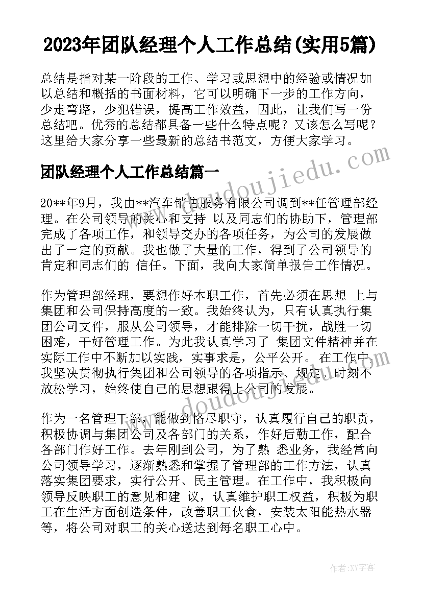 2023年团队经理个人工作总结(实用5篇)