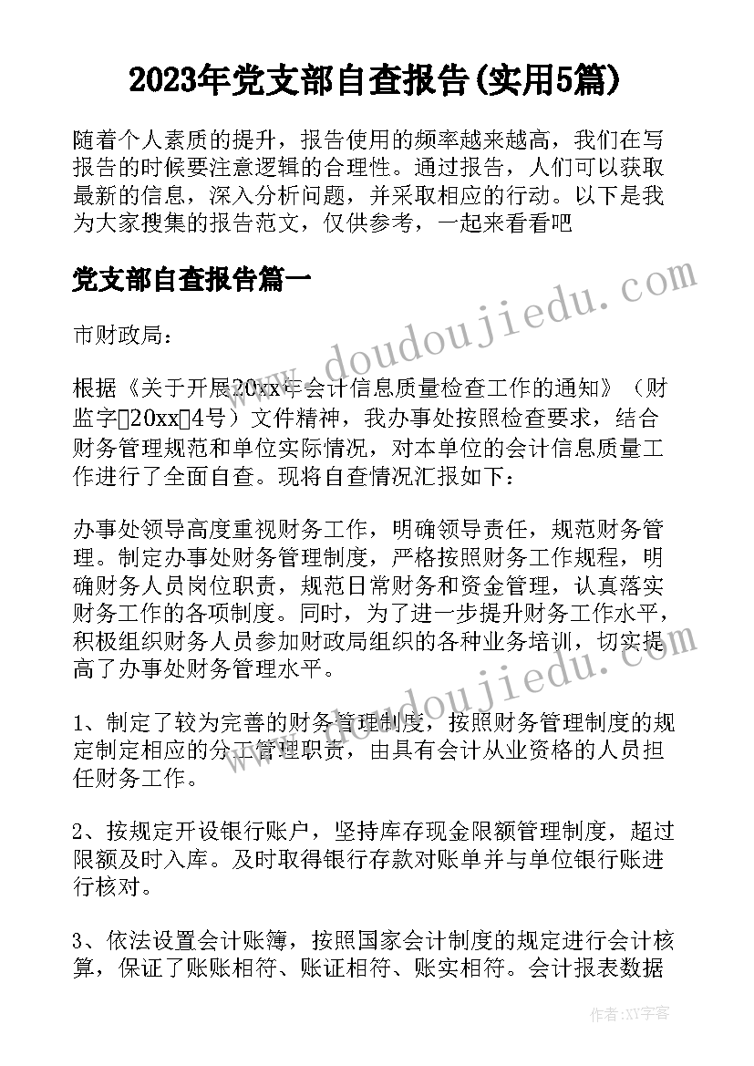 2023年党支部自查报告(实用5篇)