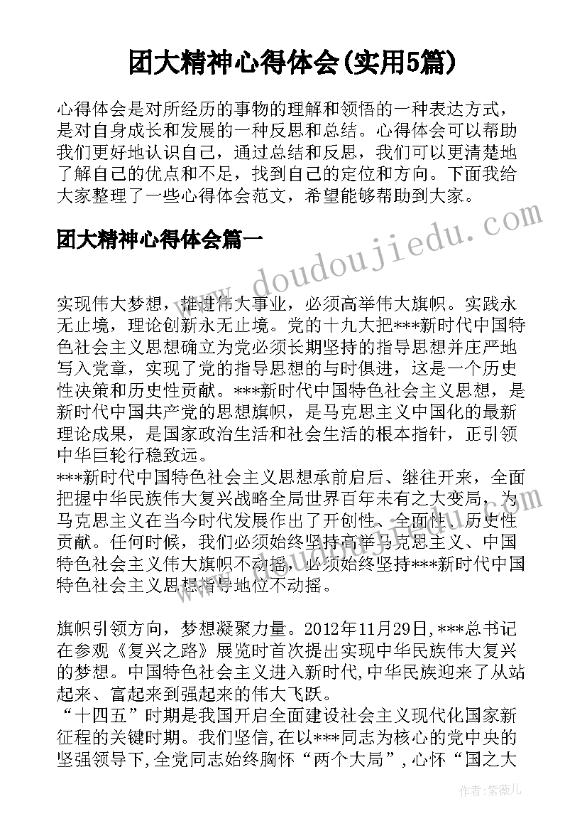 团大精神心得体会(实用5篇)