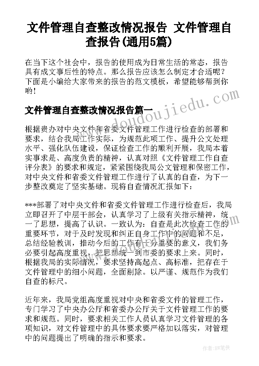 文件管理自查整改情况报告 文件管理自查报告(通用5篇)