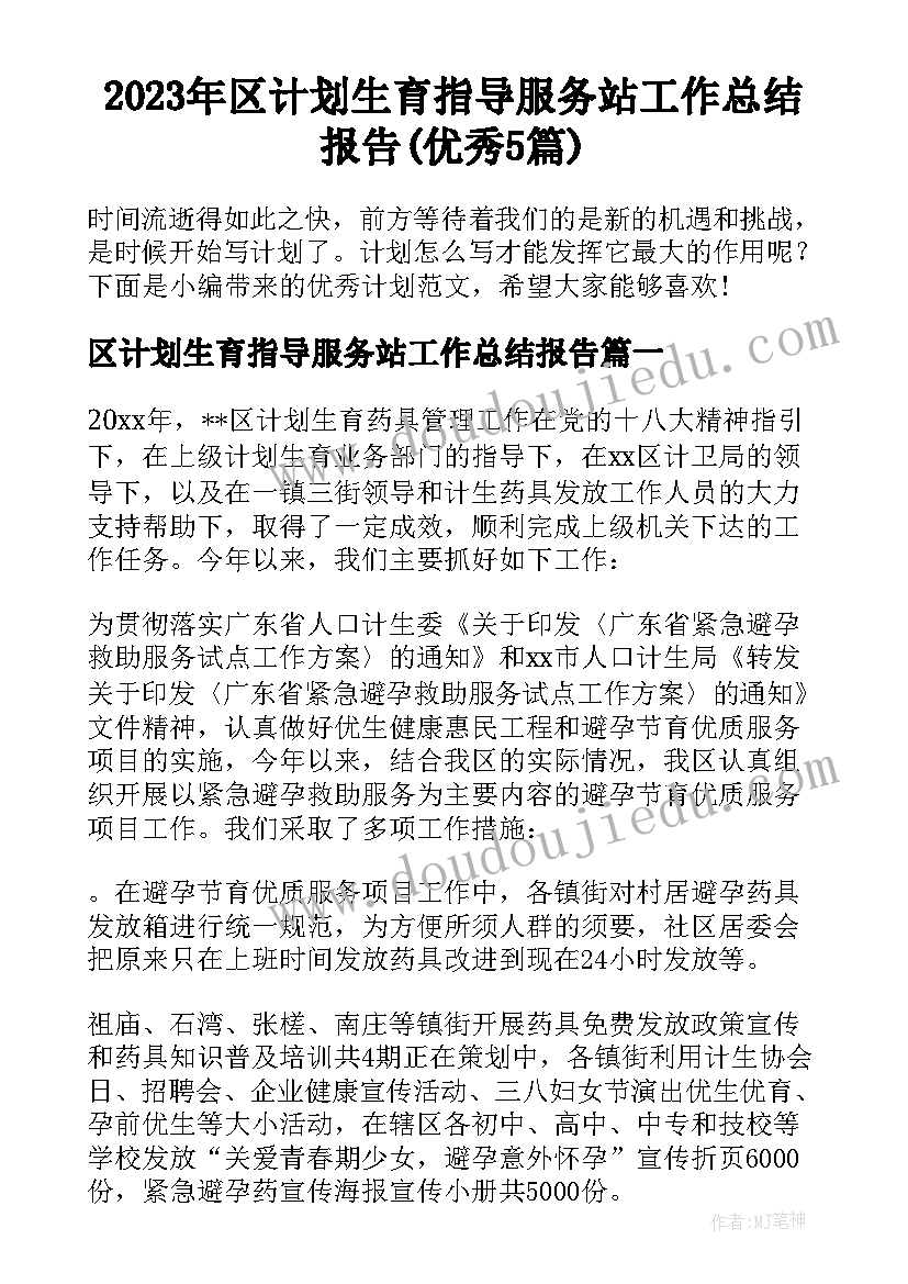 2023年区计划生育指导服务站工作总结报告(优秀5篇)