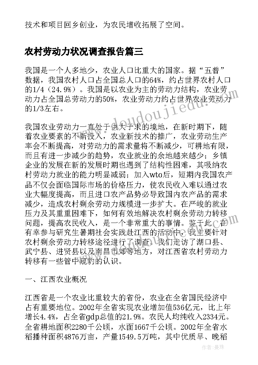 2023年农村劳动力状况调查报告(通用5篇)