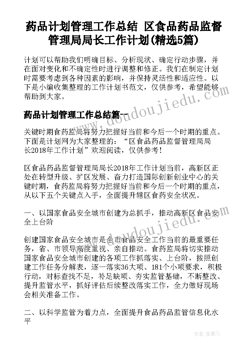 药品计划管理工作总结 区食品药品监督管理局局长工作计划(精选5篇)