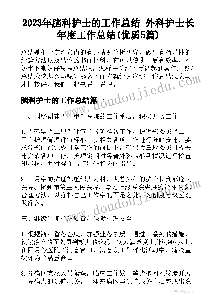 2023年脑科护士的工作总结 外科护士长年度工作总结(优质5篇)