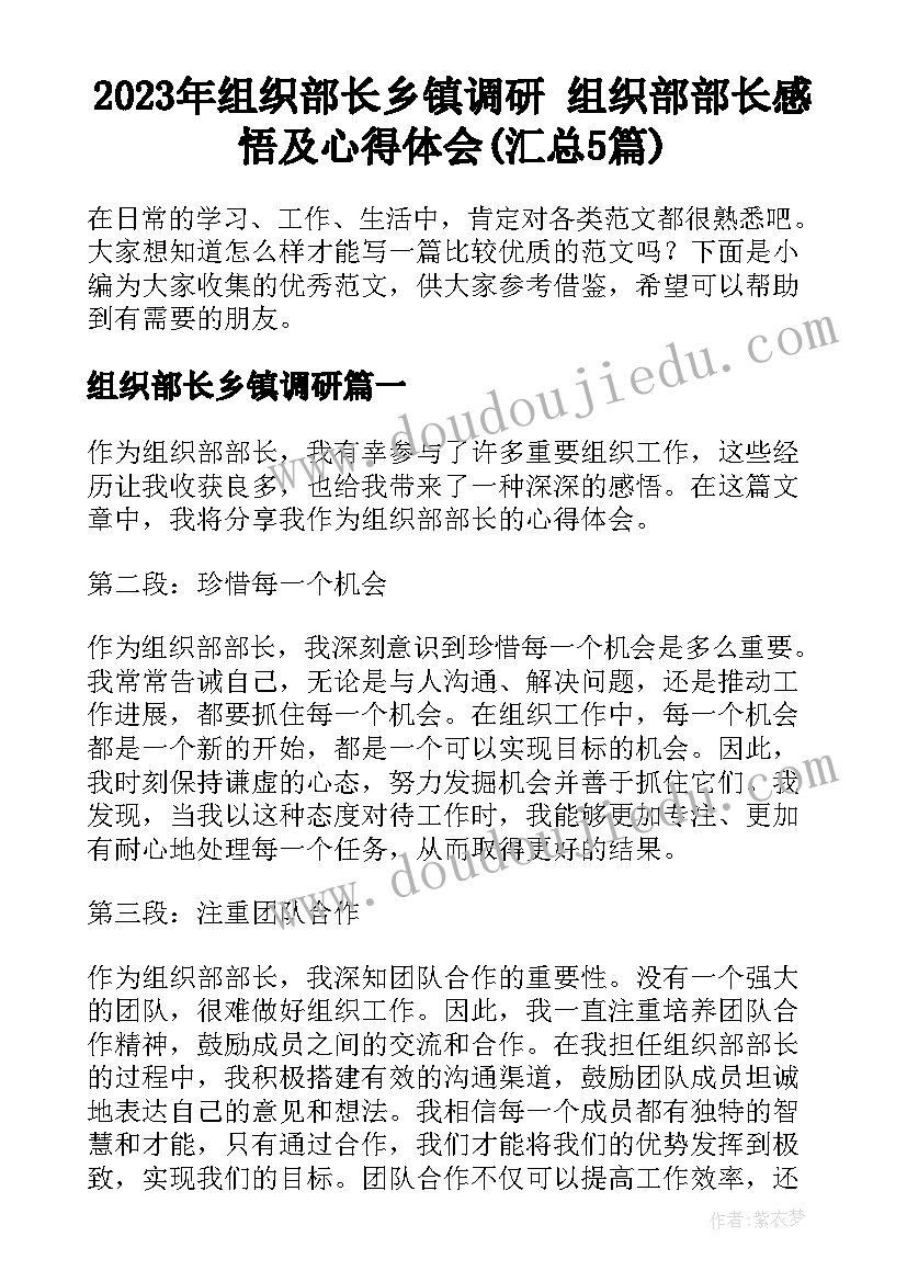 2023年组织部长乡镇调研 组织部部长感悟及心得体会(汇总5篇)