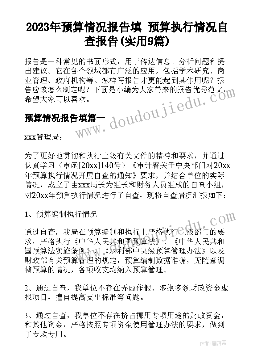 2023年预算情况报告填 预算执行情况自查报告(实用9篇)