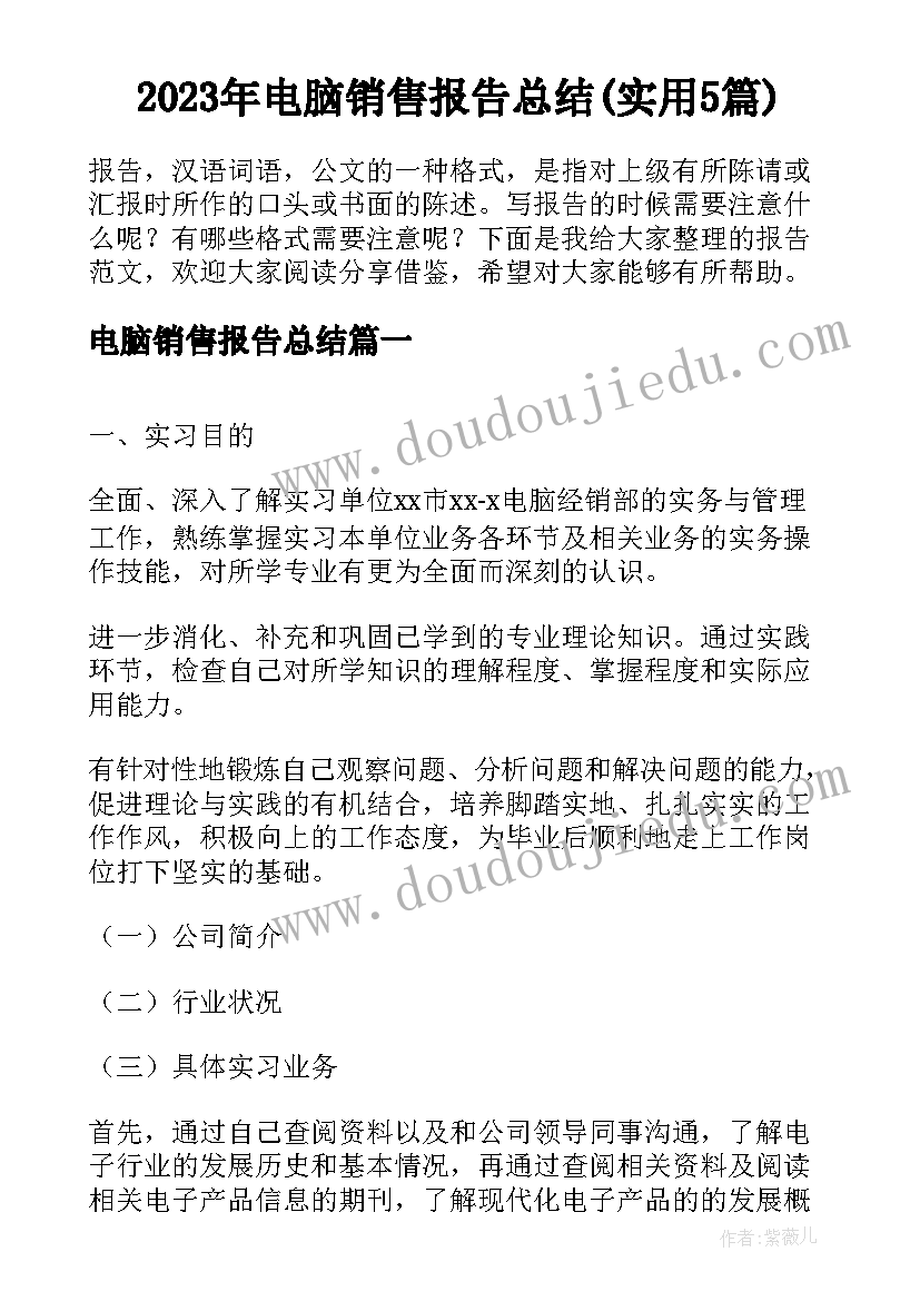 2023年电脑销售报告总结(实用5篇)