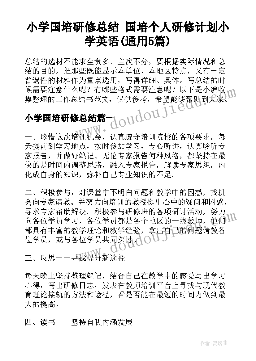 小学国培研修总结 国培个人研修计划小学英语(通用5篇)