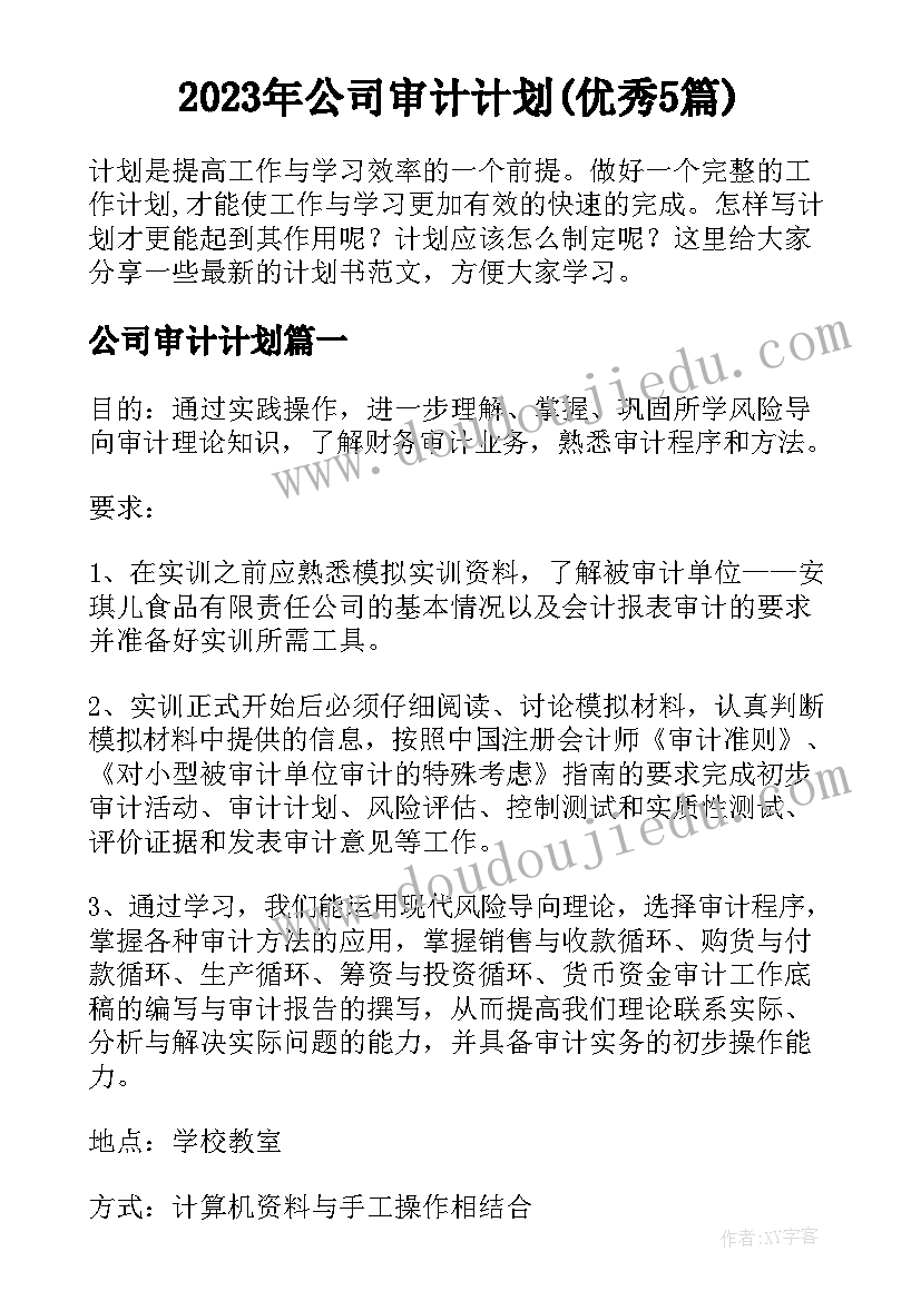 2023年公司审计计划(优秀5篇)