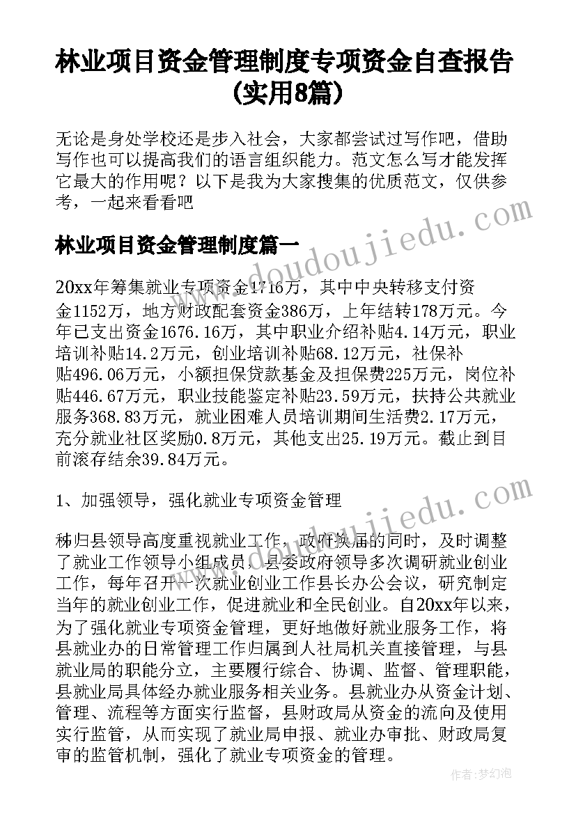 林业项目资金管理制度 专项资金自查报告(实用8篇)