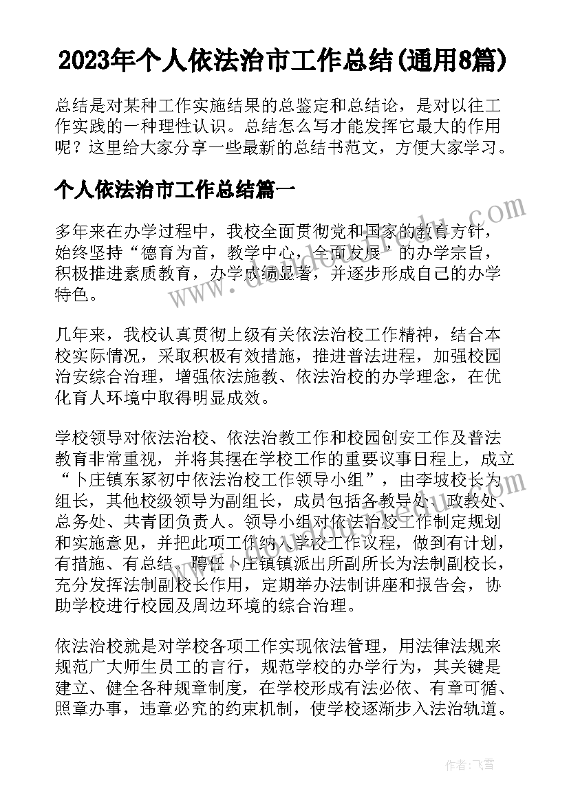 2023年个人依法治市工作总结(通用8篇)