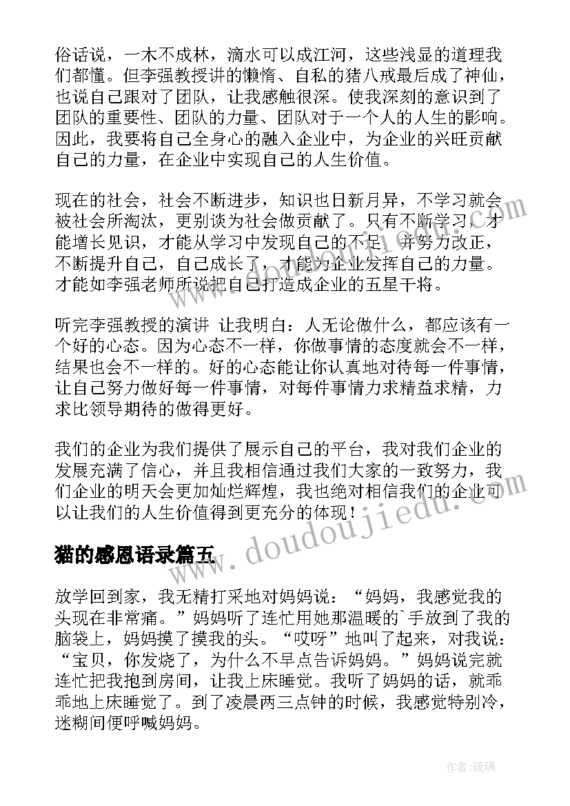 2023年猫的感恩语录(精选10篇)