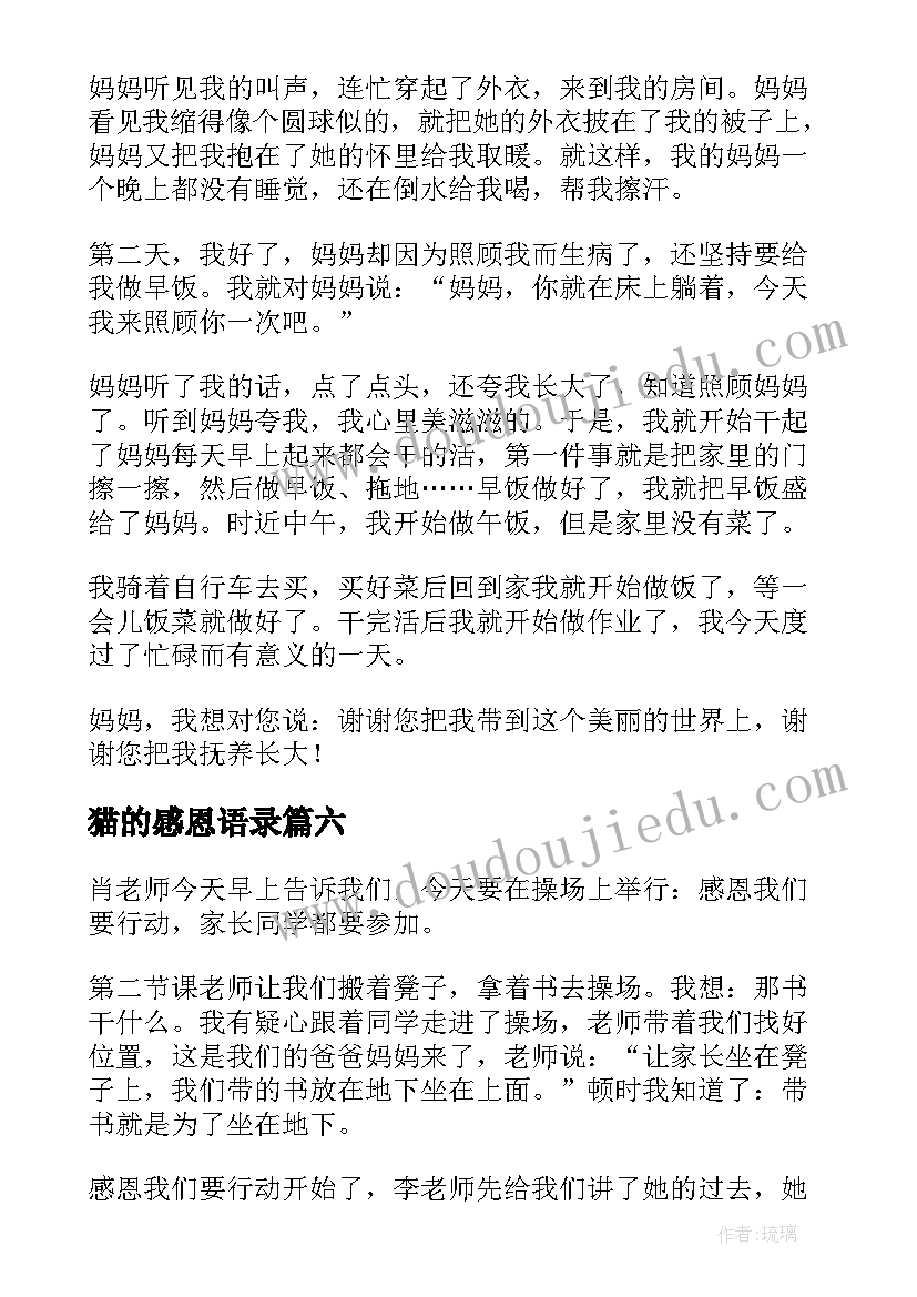 2023年猫的感恩语录(精选10篇)