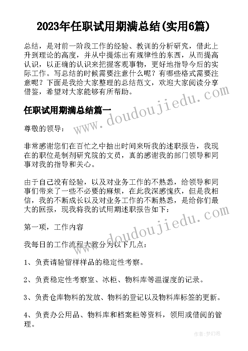 2023年任职试用期满总结(实用6篇)