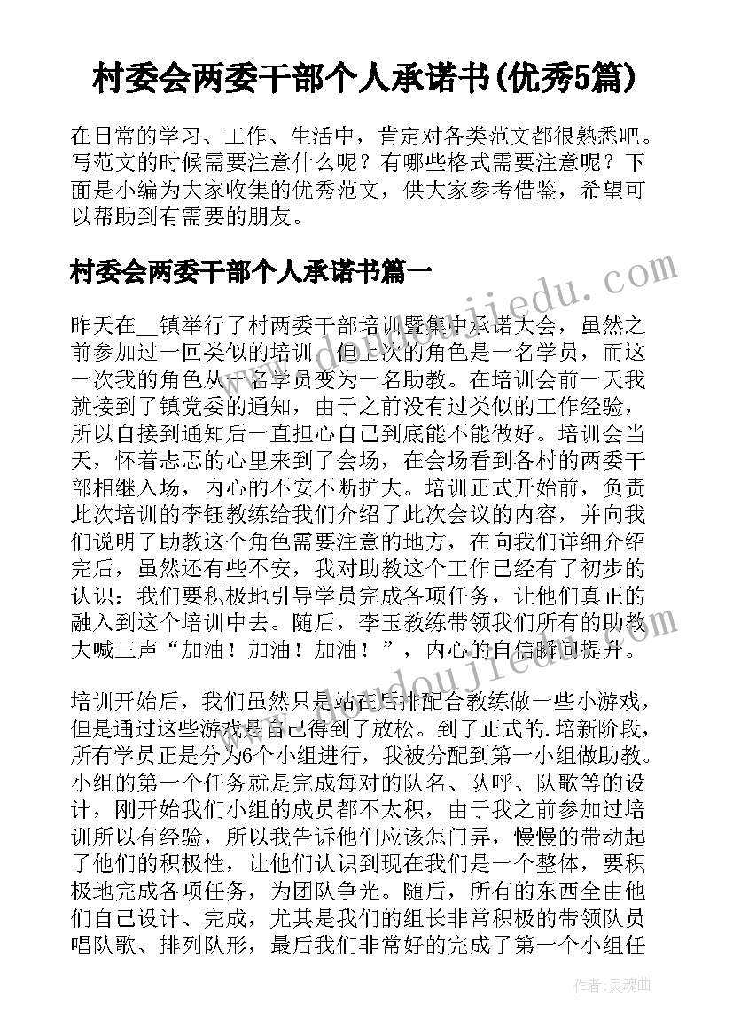 村委会两委干部个人承诺书(优秀5篇)