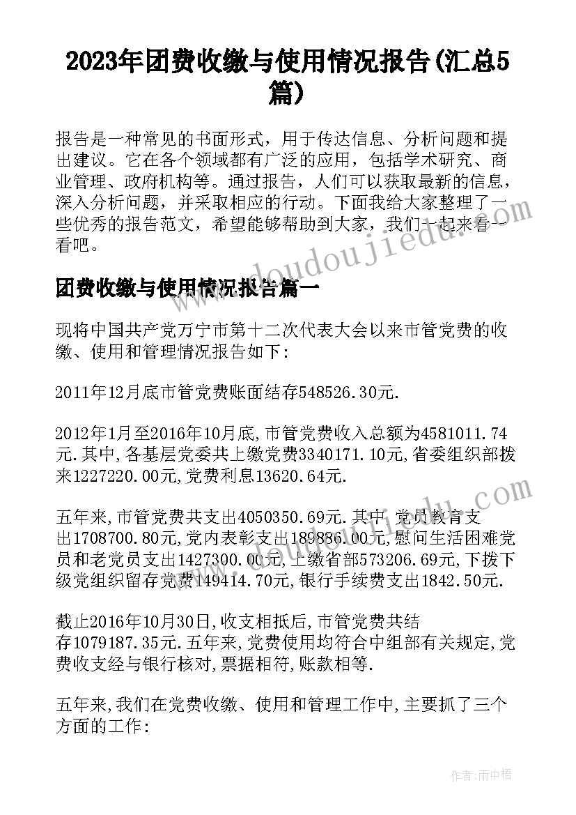 2023年团费收缴与使用情况报告(汇总5篇)