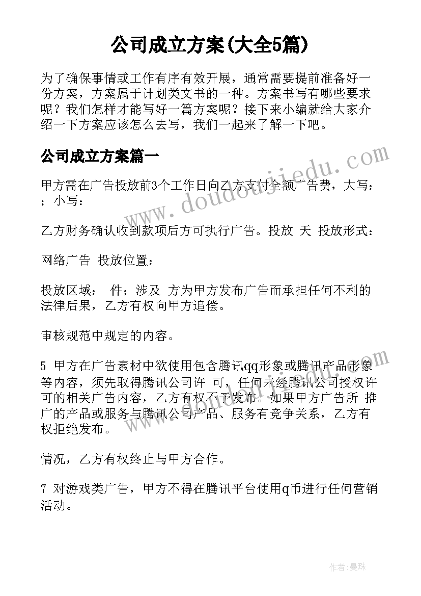 公司成立方案(大全5篇)