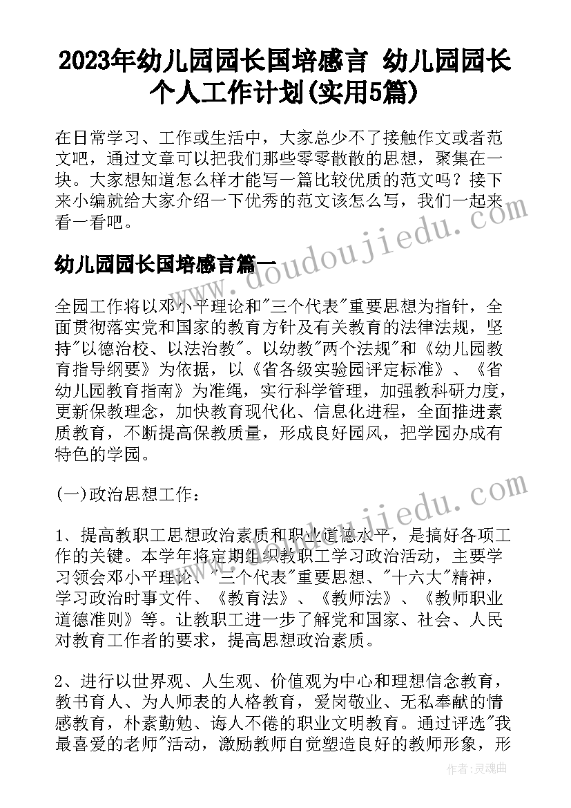 2023年幼儿园园长国培感言 幼儿园园长个人工作计划(实用5篇)