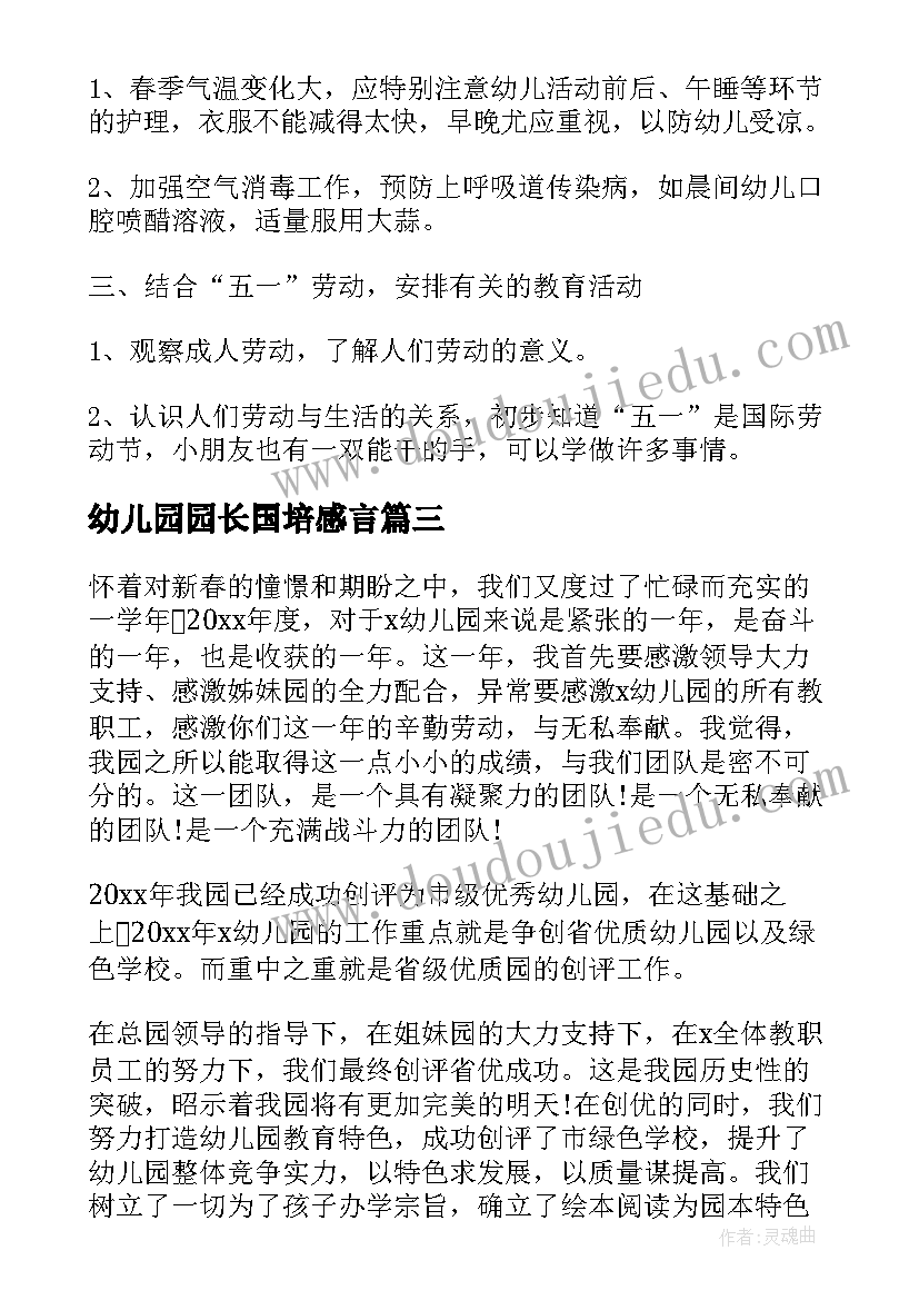 2023年幼儿园园长国培感言 幼儿园园长个人工作计划(实用5篇)