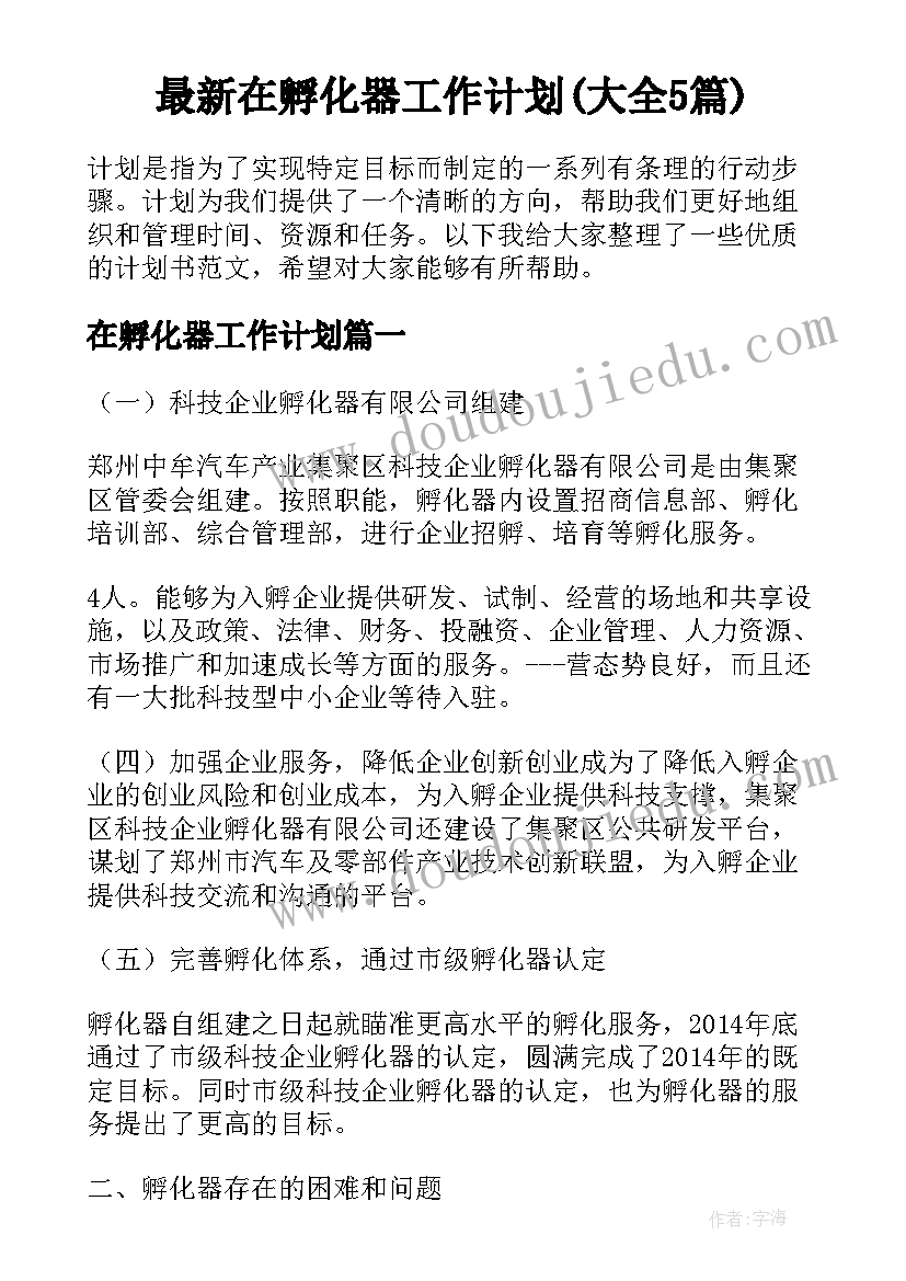 最新在孵化器工作计划(大全5篇)