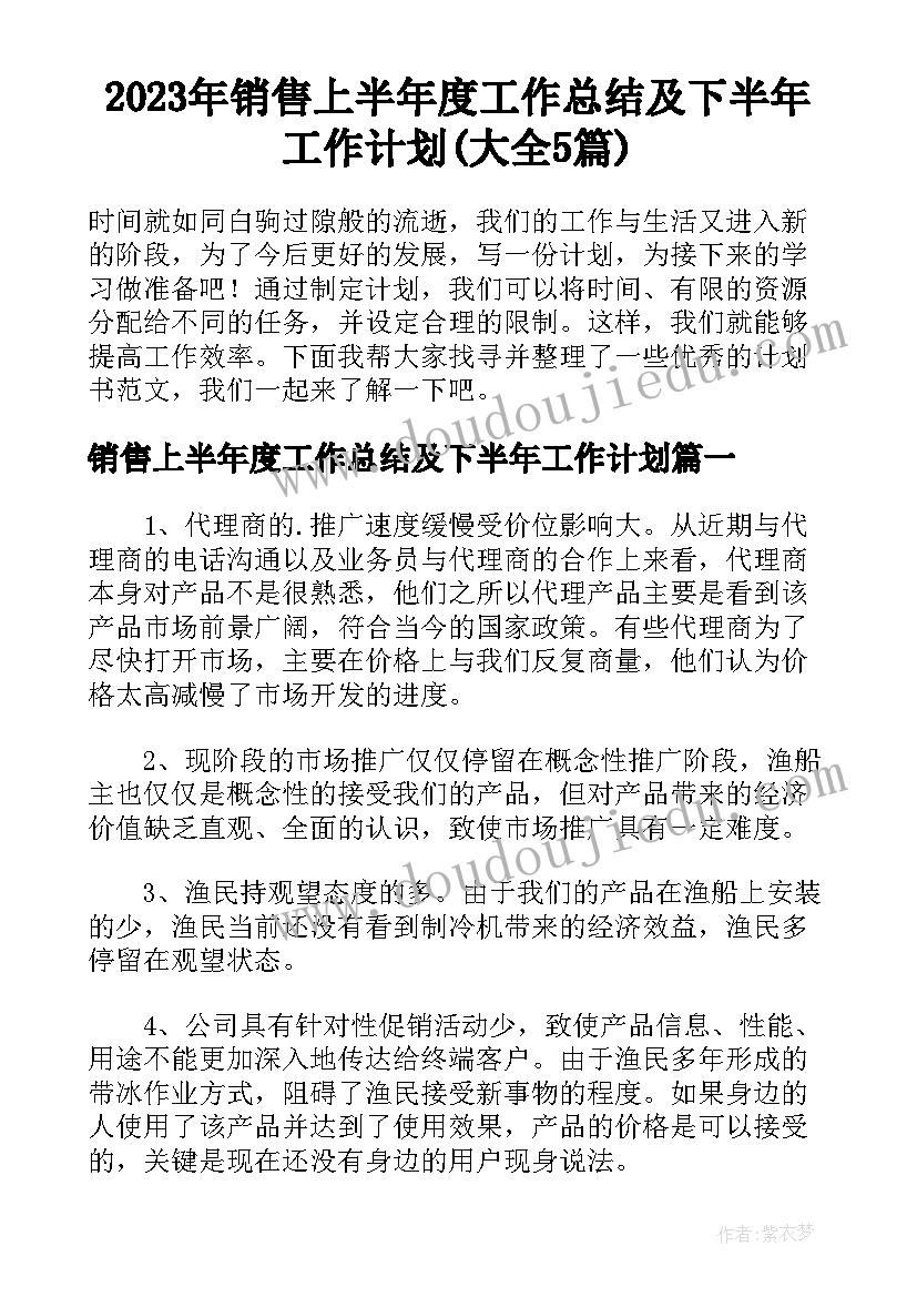 2023年销售上半年度工作总结及下半年工作计划(大全5篇)