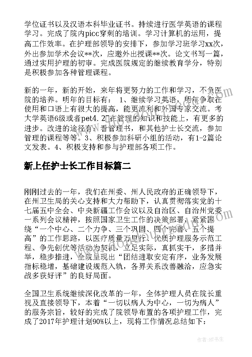 2023年新上任护士长工作目标 护士工作计划(精选6篇)