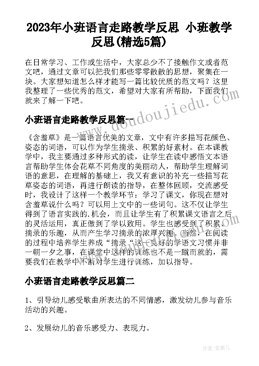 2023年小班语言走路教学反思 小班教学反思(精选5篇)