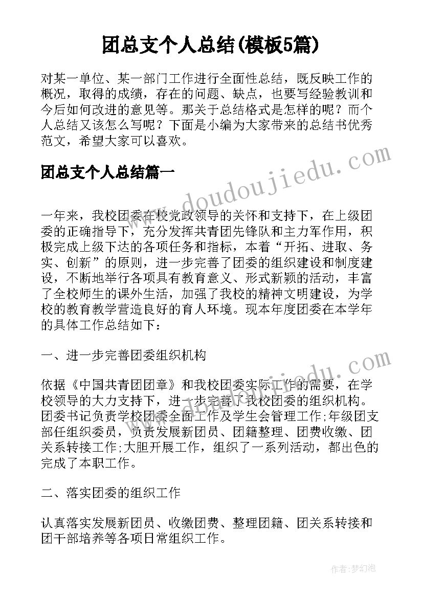 团总支个人总结(模板5篇)