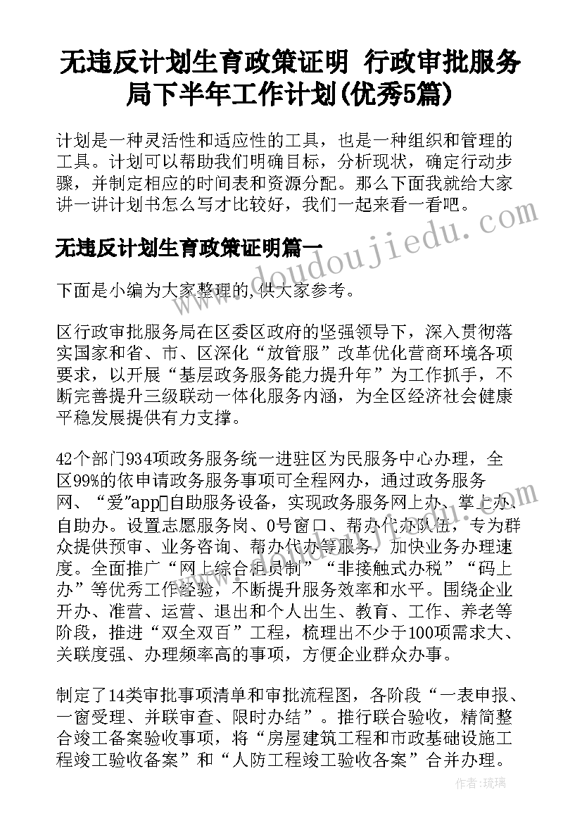 无违反计划生育政策证明 行政审批服务局下半年工作计划(优秀5篇)