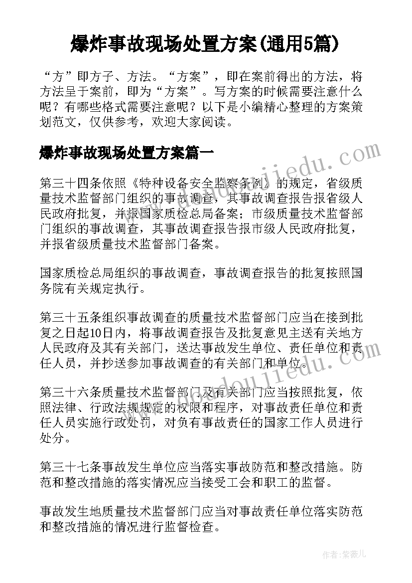 爆炸事故现场处置方案(通用5篇)