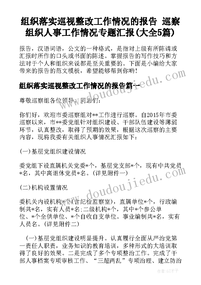 组织落实巡视整改工作情况的报告 巡察组织人事工作情况专题汇报(大全5篇)