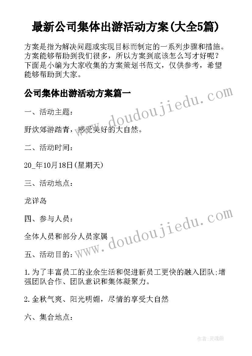 最新公司集体出游活动方案(大全5篇)