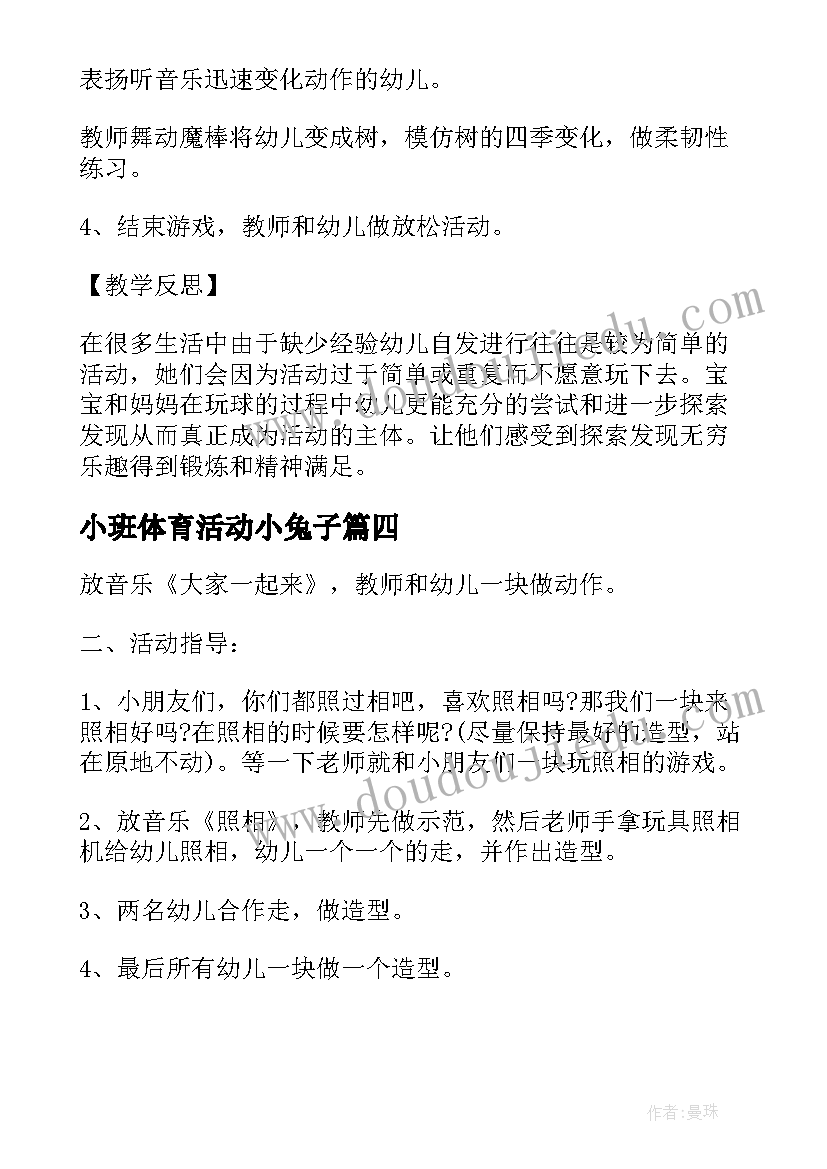 小班体育活动小兔子 经典幼儿园小班体育活动方案(模板9篇)