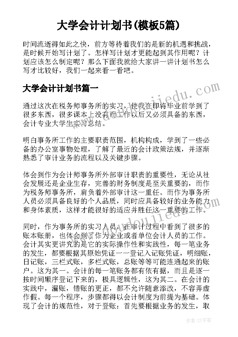 大学会计计划书(模板5篇)