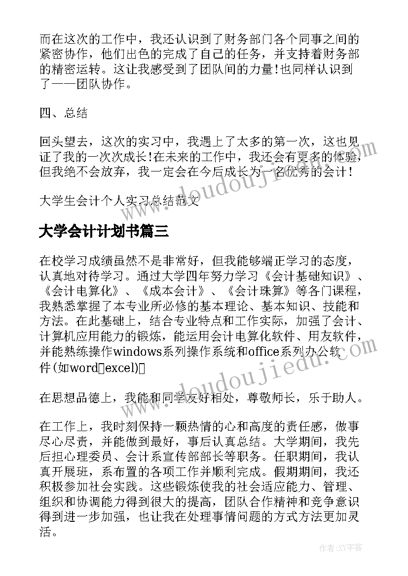 大学会计计划书(模板5篇)