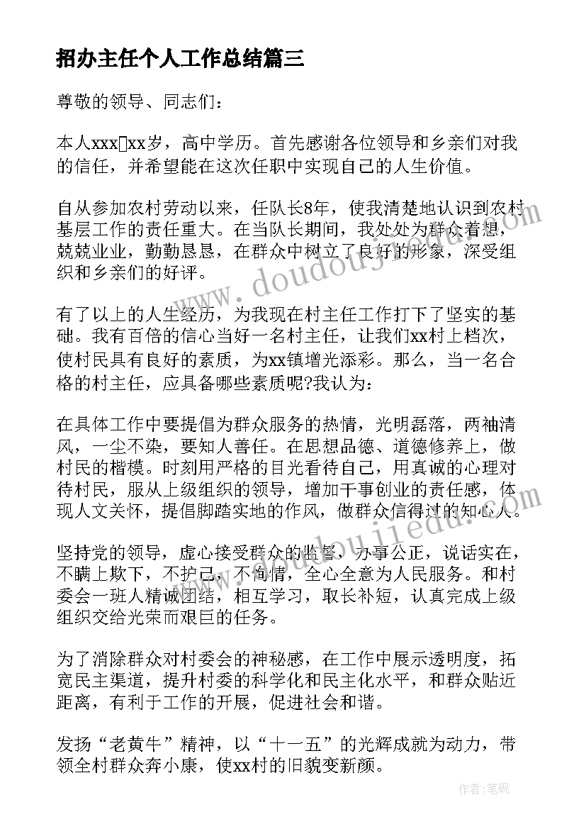 2023年招办主任个人工作总结(大全8篇)