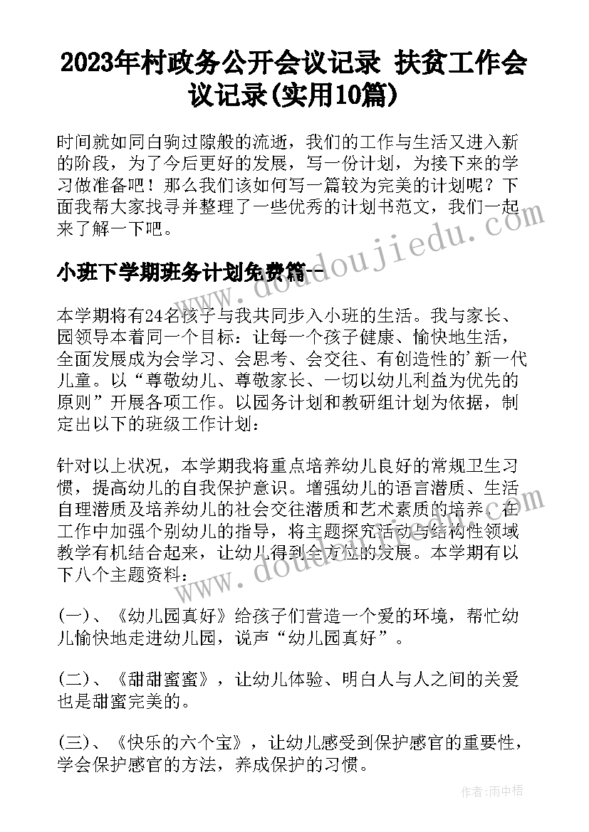 2023年村政务公开会议记录 扶贫工作会议记录(实用10篇)