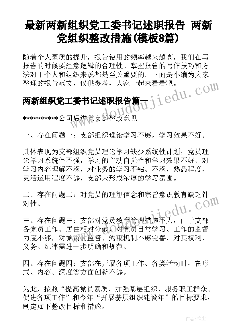 最新两新组织党工委书记述职报告 两新党组织整改措施(模板8篇)