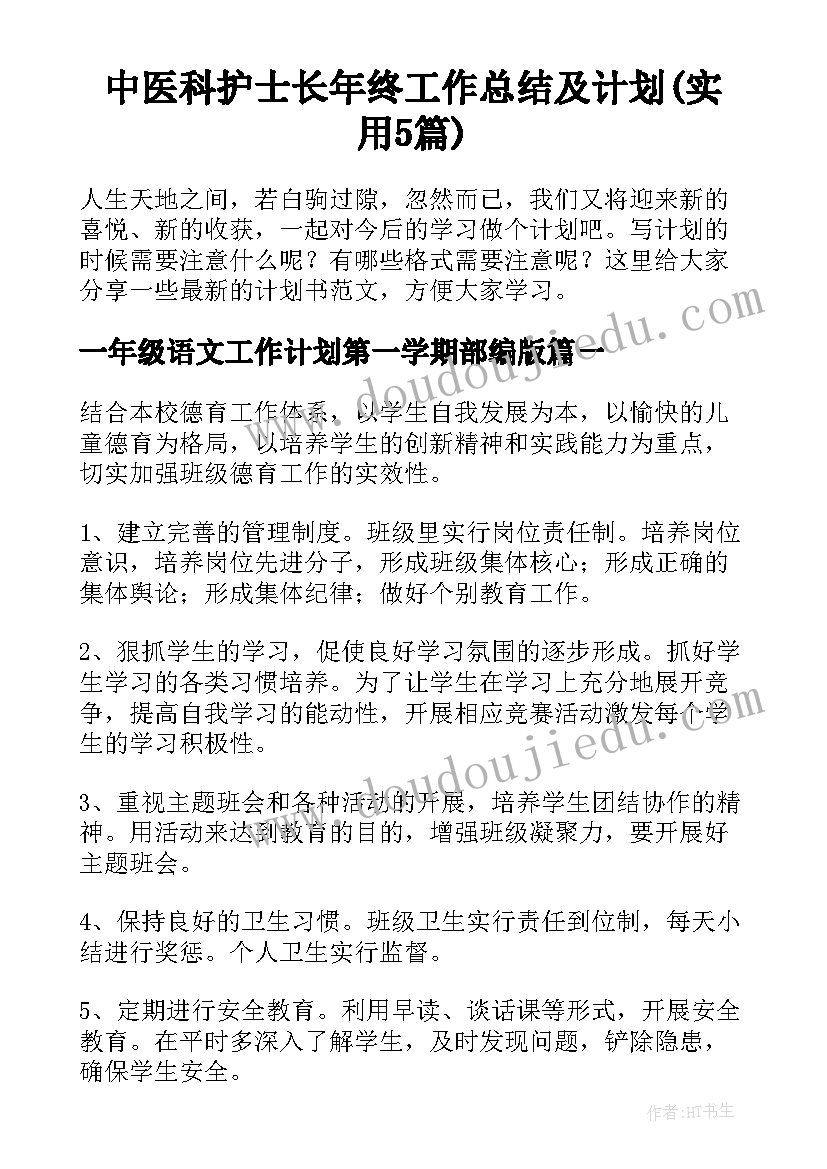 中医科护士长年终工作总结及计划(实用5篇)