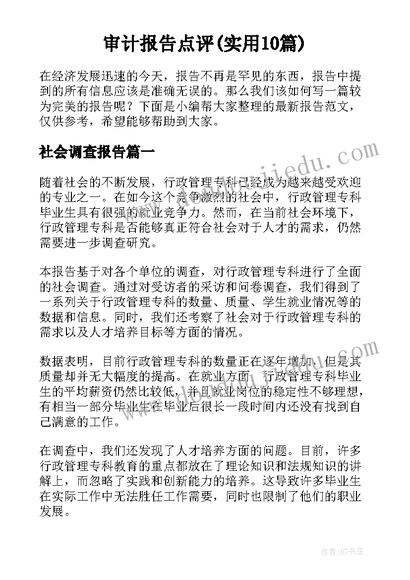 审计报告点评(实用10篇)