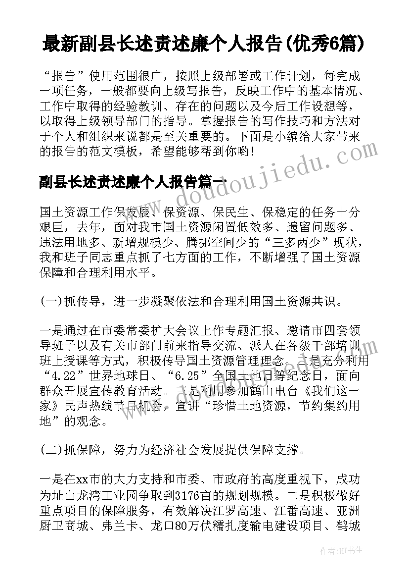 最新副县长述责述廉个人报告(优秀6篇)