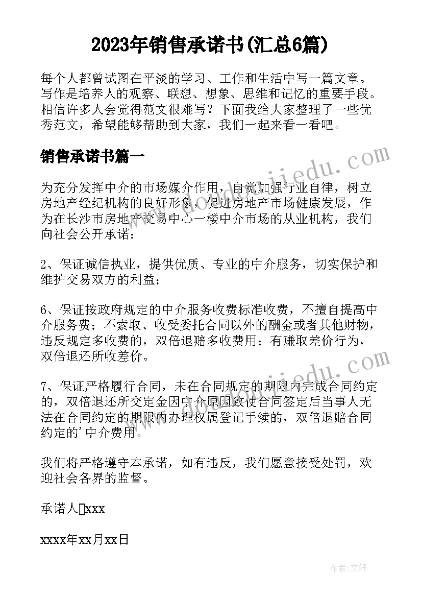 2023年销售承诺书(汇总6篇)