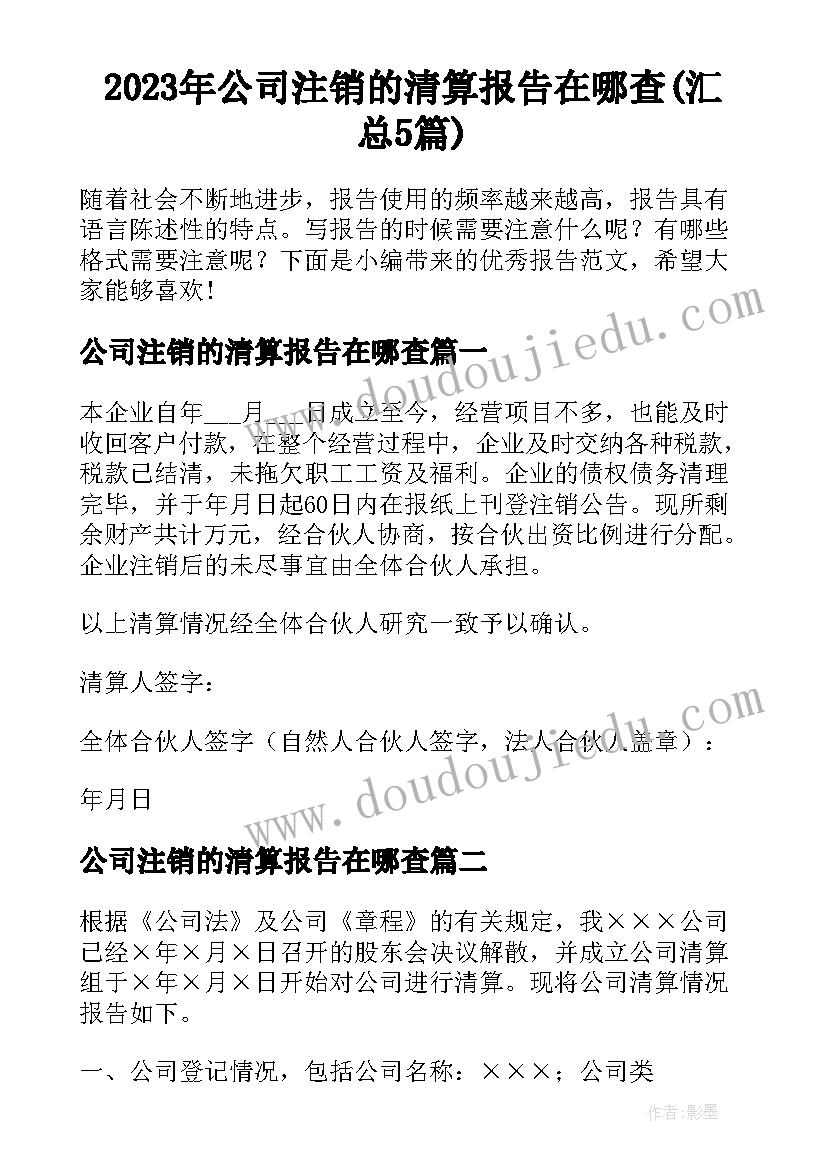 2023年公司注销的清算报告在哪查(汇总5篇)