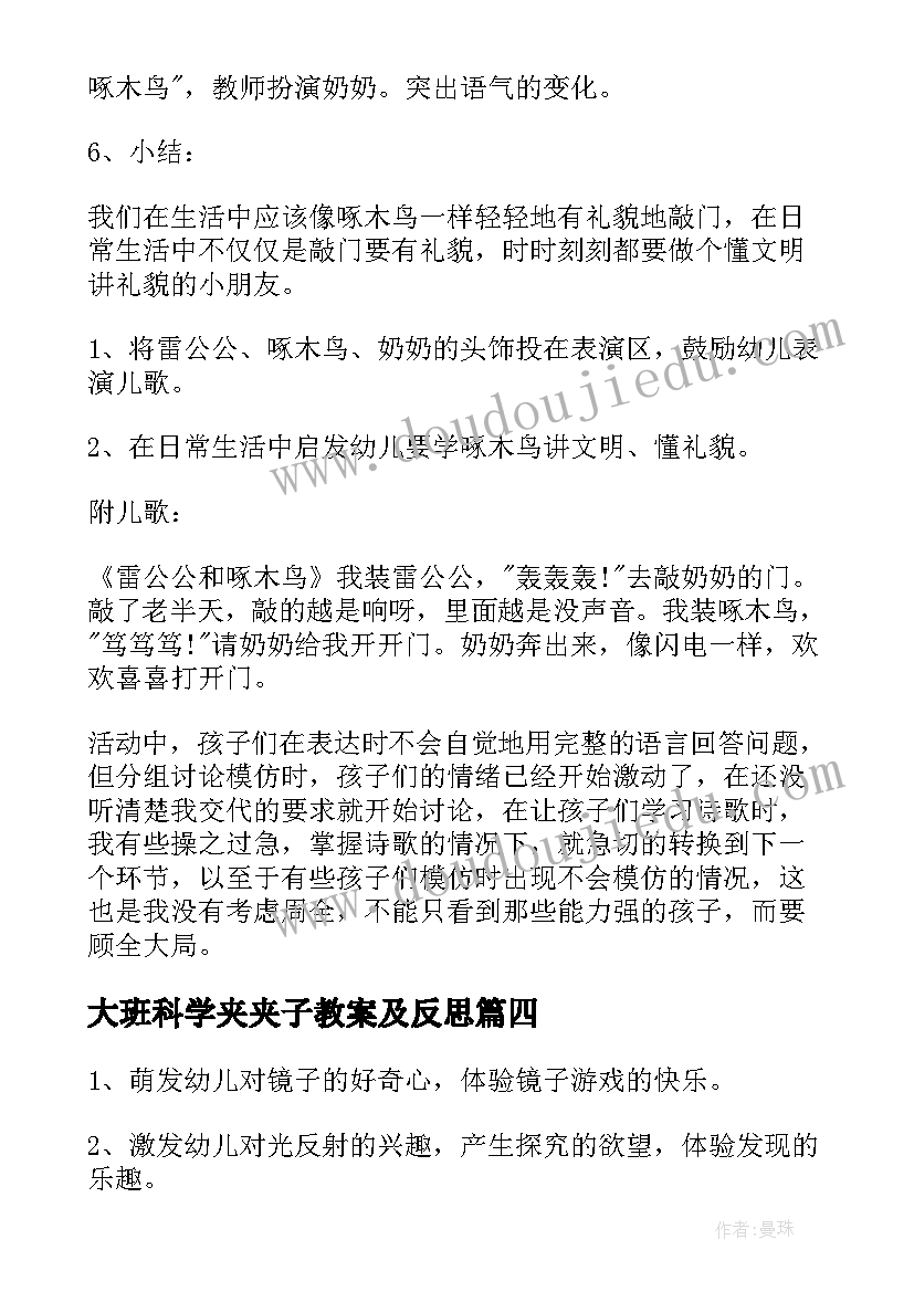 最新大班科学夹夹子教案及反思(大全6篇)