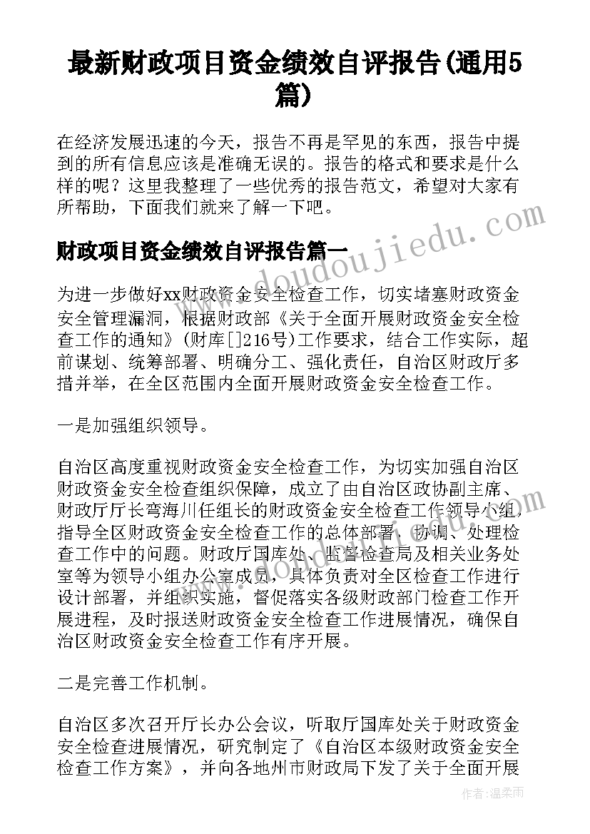 最新财政项目资金绩效自评报告(通用5篇)